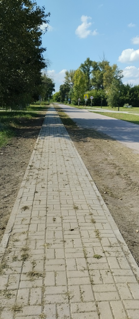 Администрация сельского поселения совместно с инициативными группами ТОС &quot;Новочигольское&quot; и ТОС &quot;Победа&quot;  проводят работы по очистке тротуарных дорожек от ростительности.