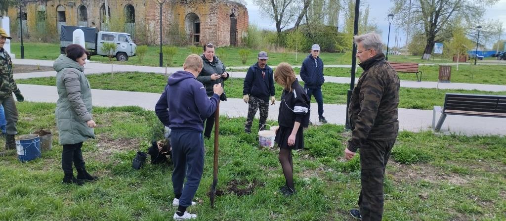 В рамках месячника благоустройства проведены работы по озеленению.