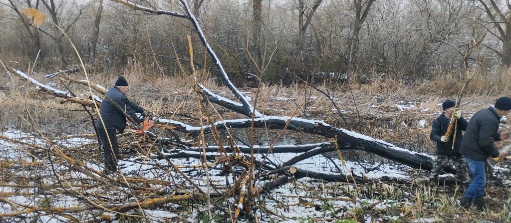 В рамках месячника по благоустройству и наведении санитарного порядка инициативной группой ТОС &quot;Новочигольский&quot; и ТОС &quot;Победа&quot;  совместно с администрацией Новочигольского сельского поселения проводятся работы по опиловке сухих деревьев.
