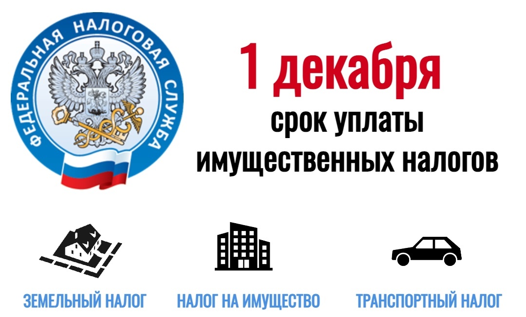 ЗАПЛАТИ НАЛОГИ!.